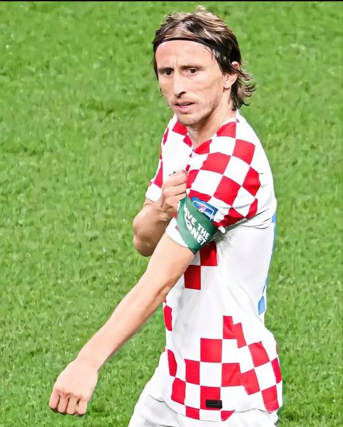 游泳赛季整体走势观察