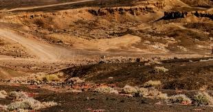 迪亚斯：裁判无视多纳鲁马被侵犯，我们需要统一的判罚标准